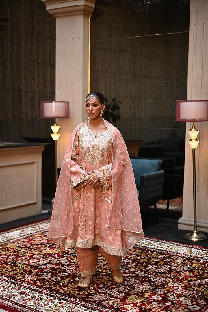 Radical Flair Anarkali Kurta set
